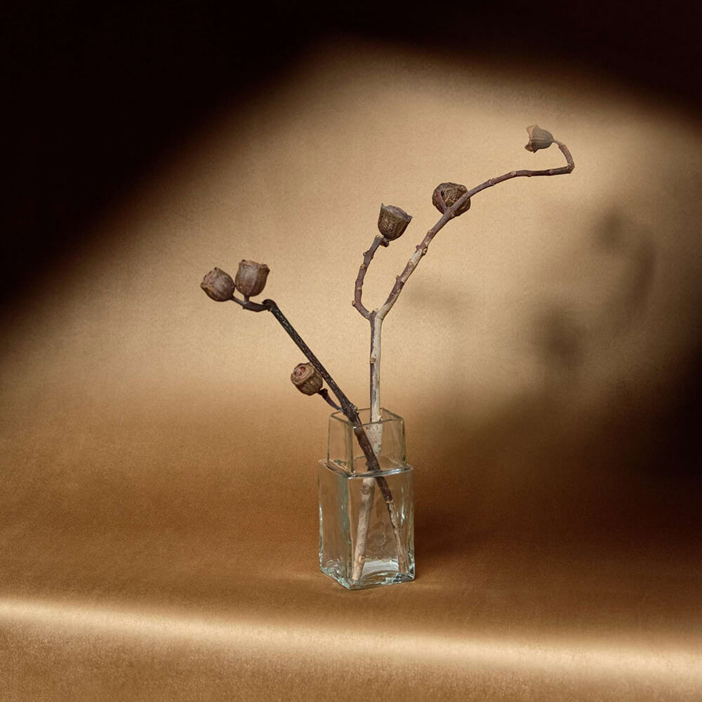 elitis-velatura-cocoon-3