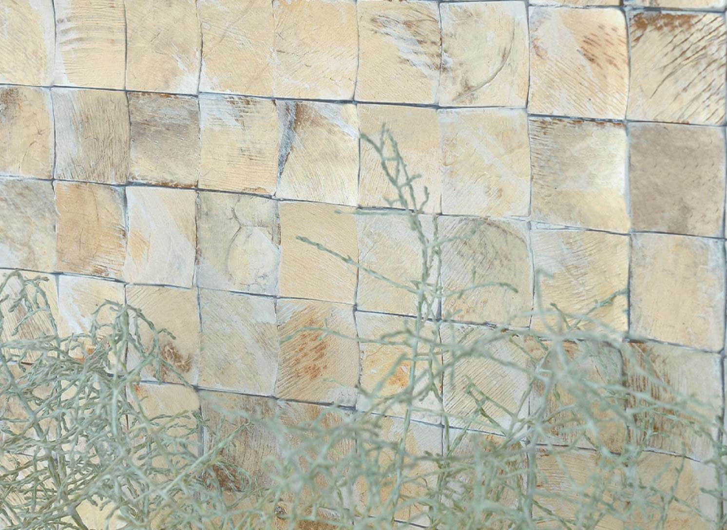 elitis-coco-shells-kollekcio-4