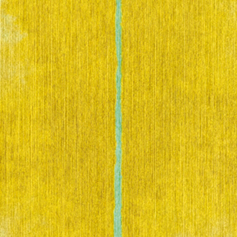 elitis-libero-halong