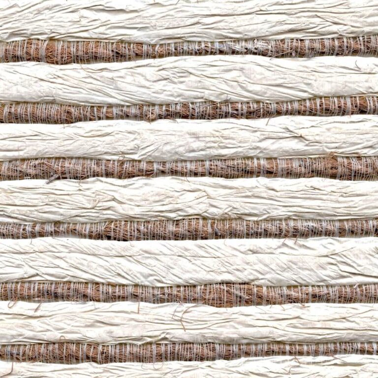 elitis-oceania-bitibiti