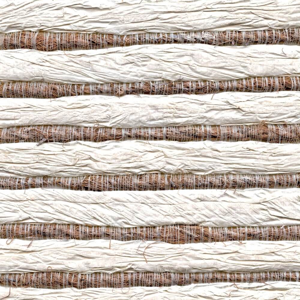 elitis-oceania-bitibiti