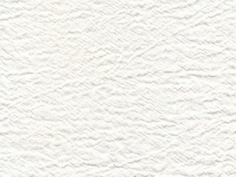 LI 501 02
