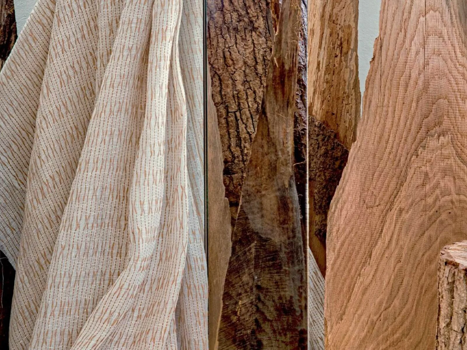 tissu-expression-ti-4