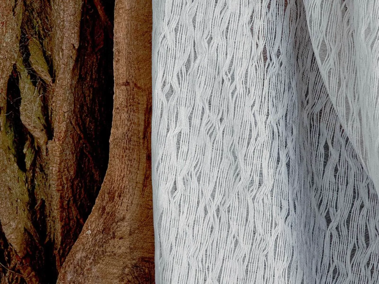 tissu-expression-ti-6
