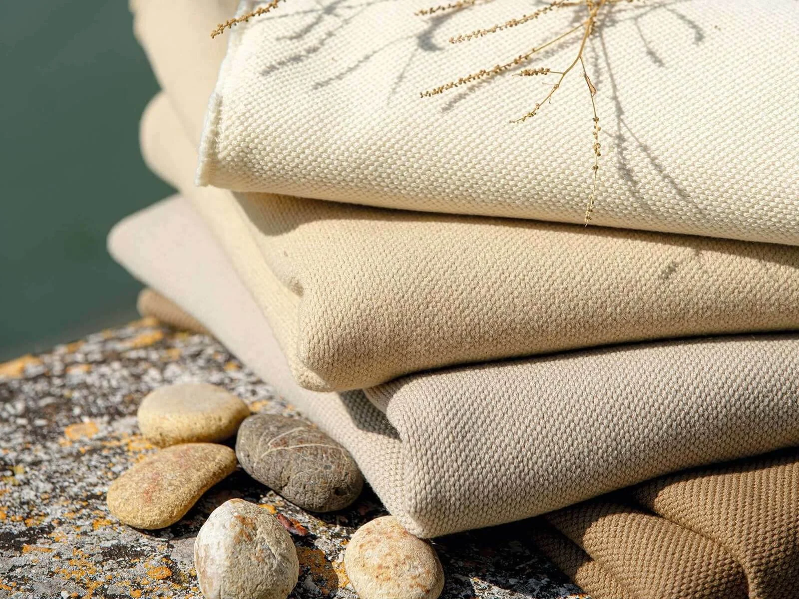 tissu-racines-4