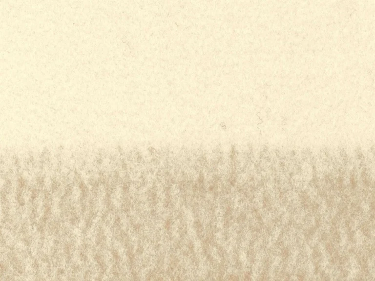 WO 131 21